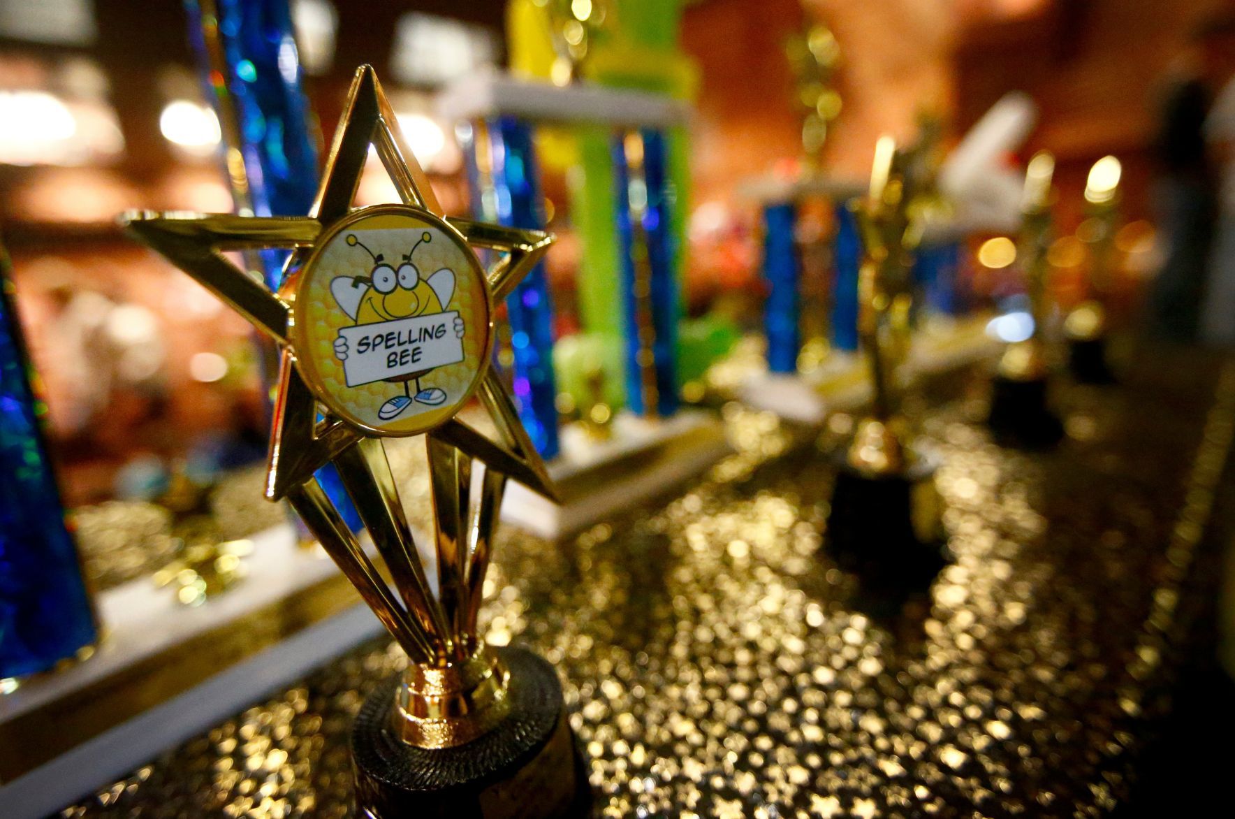 Yellowstone County Spelling Bee